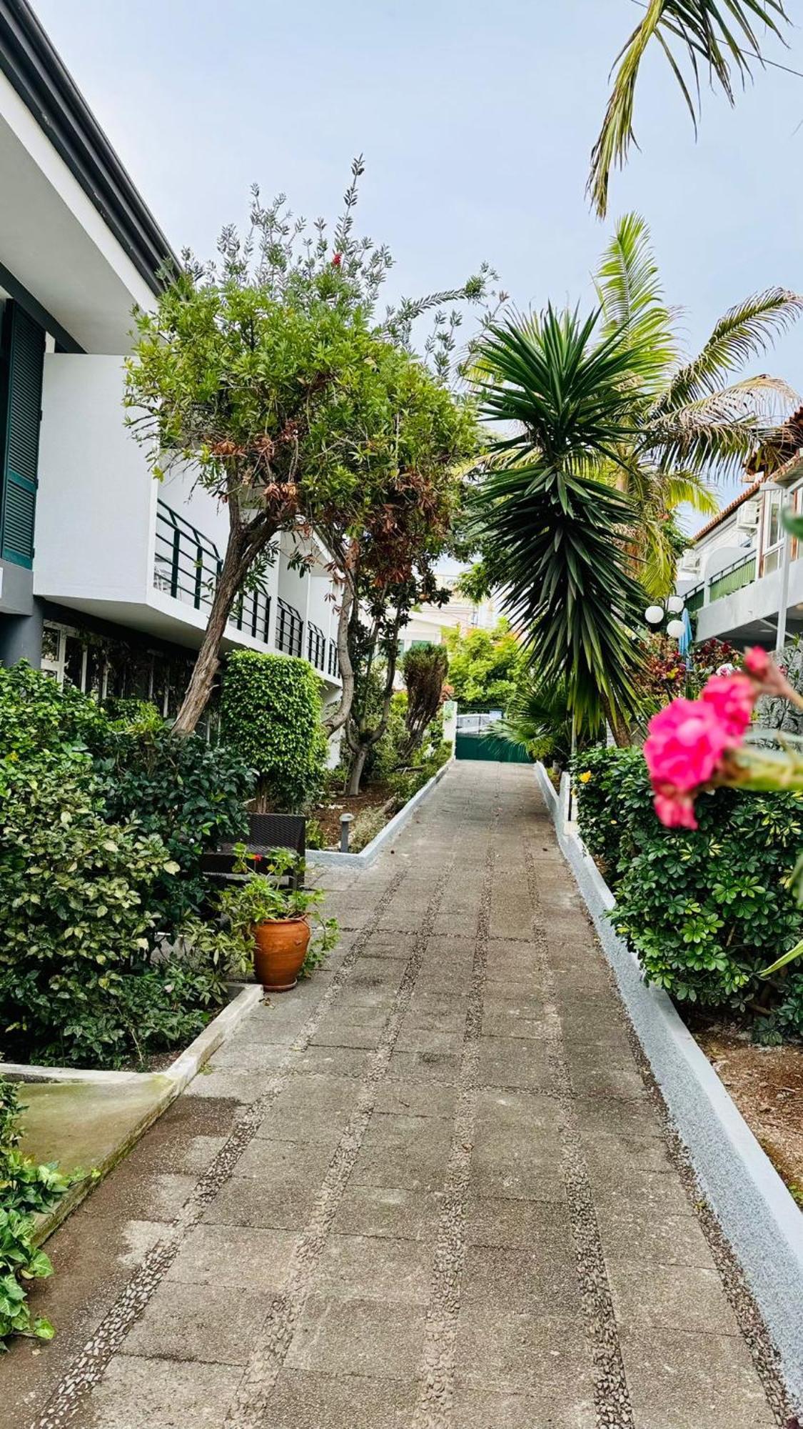 Monte Verde Funchal  Exterior foto