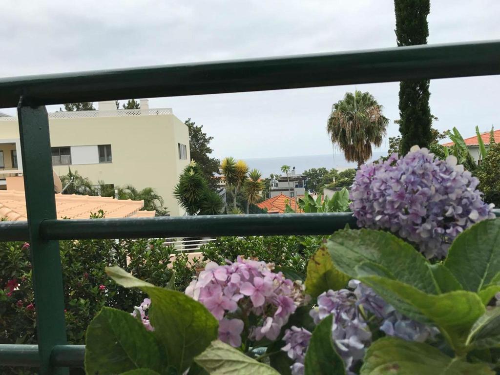 Monte Verde Funchal  Exterior foto